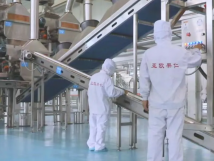 2025年的第一個(gè)月，承德亞歐果仁有限公司在山杏產(chǎn)業(yè)的道路上持續(xù)奮進(jìn)，展現(xiàn)出蓬勃的發(fā)展活力。